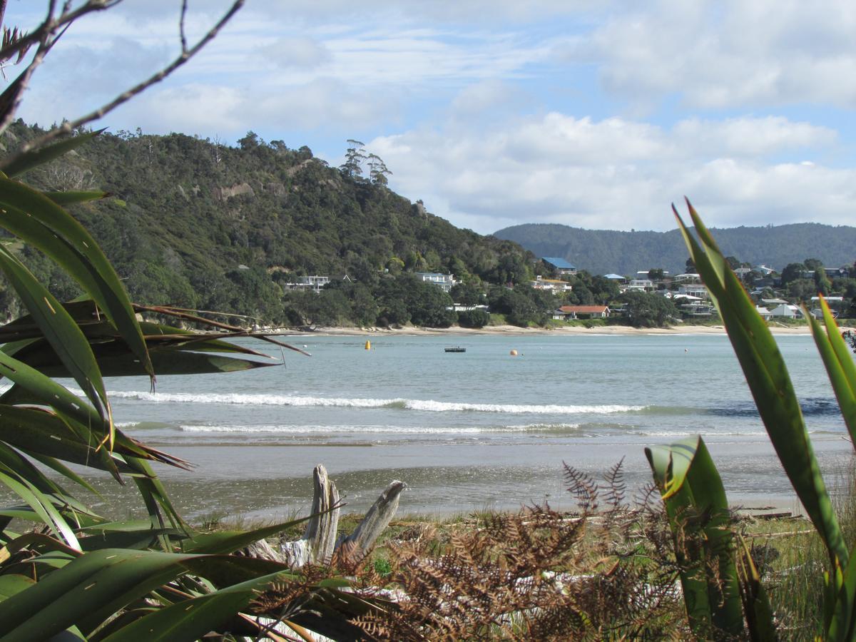 Flaxmill Cove B&B Whitianga Eksteriør bilde